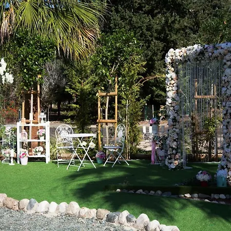 Wedding Miracle